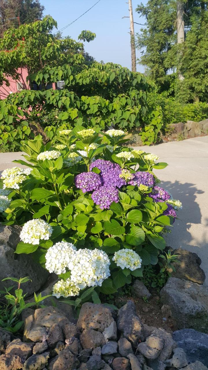 Jeju Mermuri Yerye-dong Екстериор снимка
