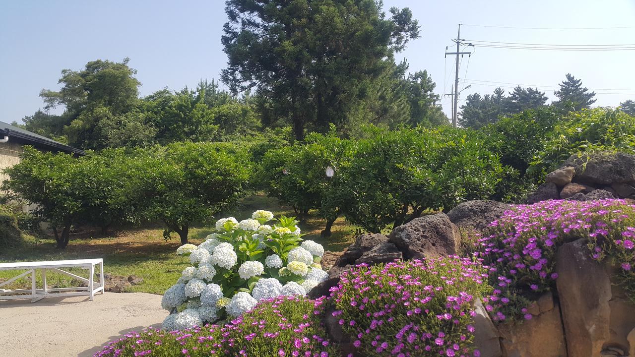 Jeju Mermuri Yerye-dong Екстериор снимка