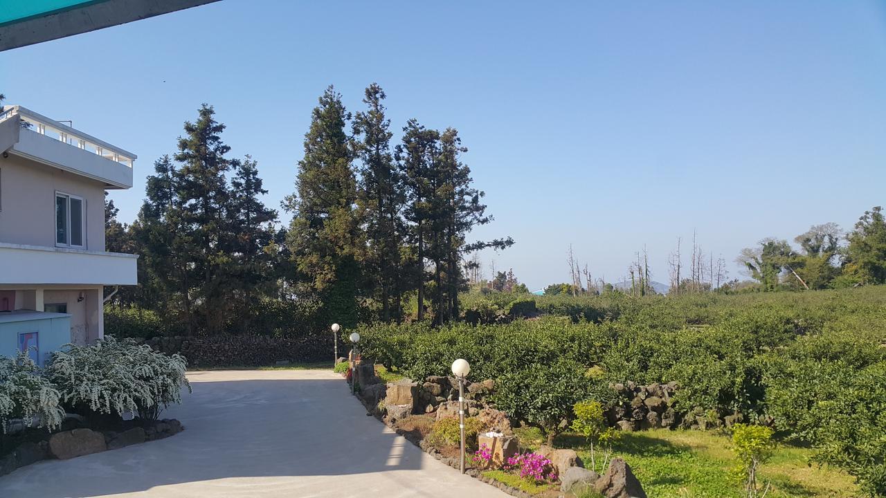 Jeju Mermuri Yerye-dong Екстериор снимка