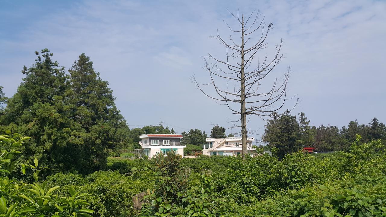 Jeju Mermuri Yerye-dong Екстериор снимка