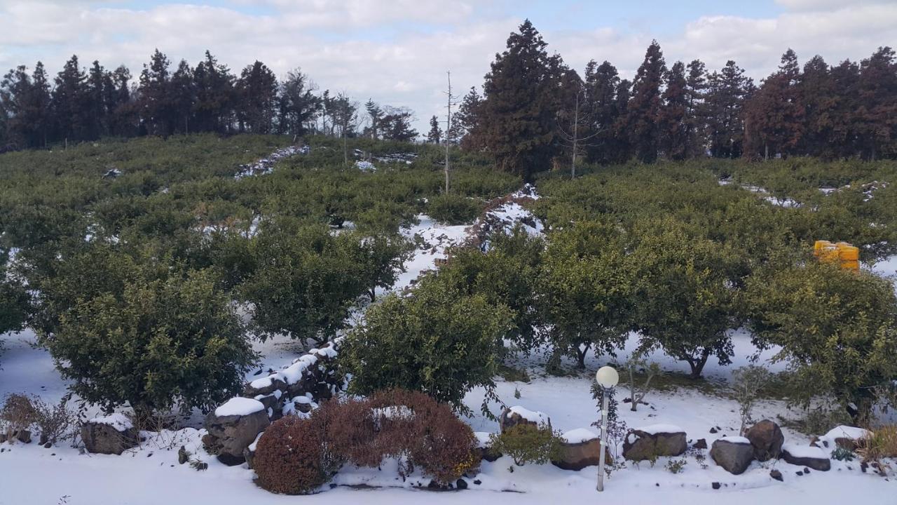 Jeju Mermuri Yerye-dong Екстериор снимка