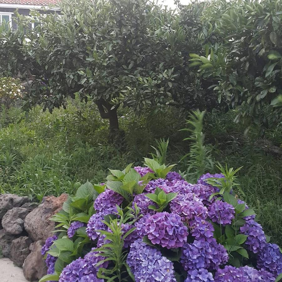 Jeju Mermuri Yerye-dong Екстериор снимка