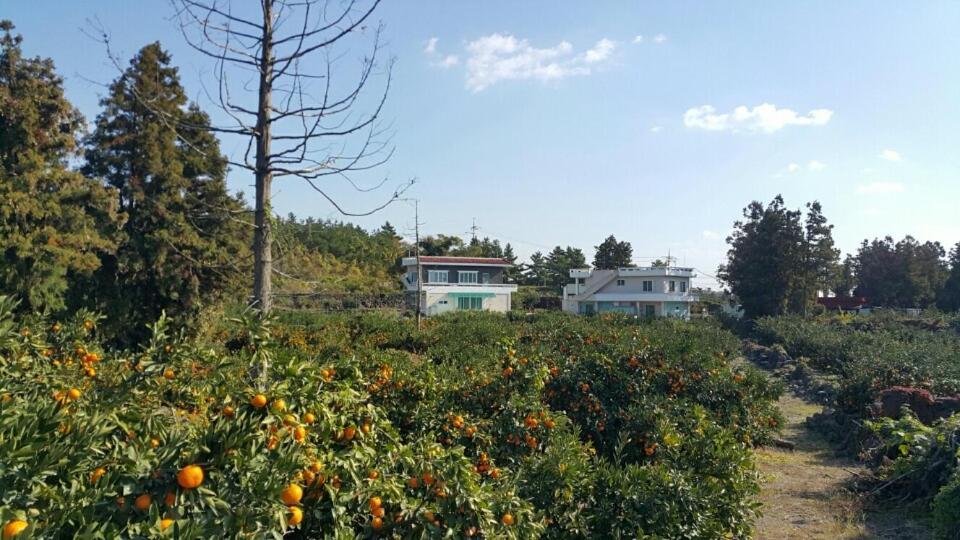 Jeju Mermuri Yerye-dong Екстериор снимка